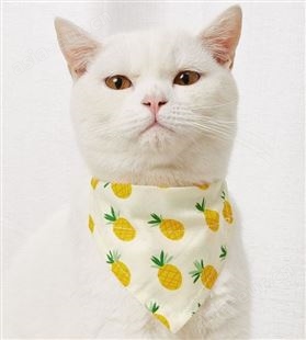 宠物用品口水巾卡通宠物狗狗猫咪三角巾项圈