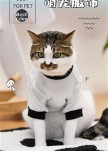 猫咪衣服防掉毛夏季T恤带袖英短布偶幼猫的夏天小猫宠物狗狗服饰