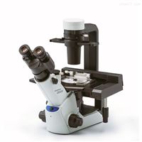 CKX53倒置显微镜